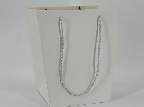 Shopping Bag With Cotton Handle