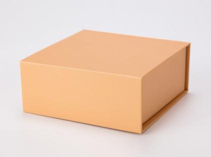Solid Color Non-Foldable Box Packaging Paper Box