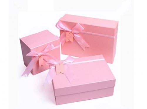 Pink Hosishop Bowknot Girl's Day Gift Case